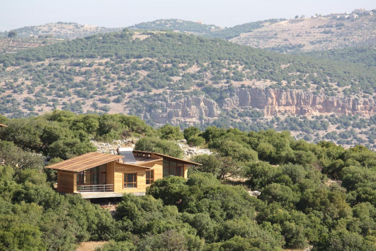 Ajloun Forest Reserve Jarash Extérieur photo