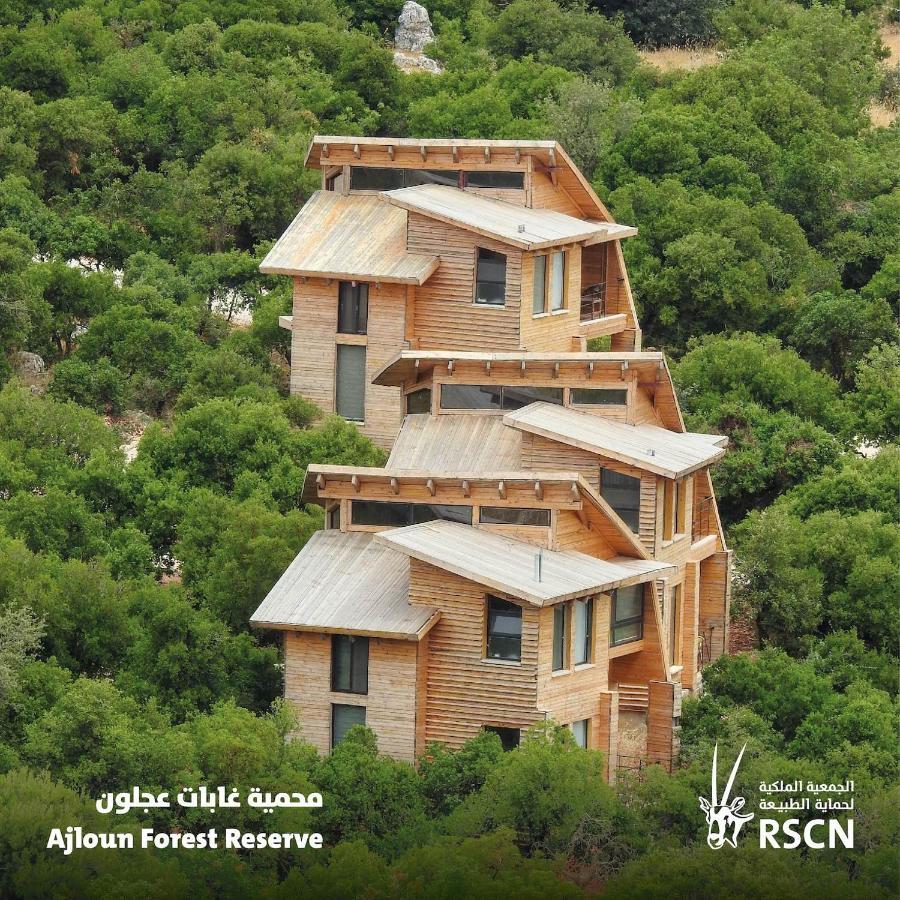 Ajloun Forest Reserve Jarash Extérieur photo