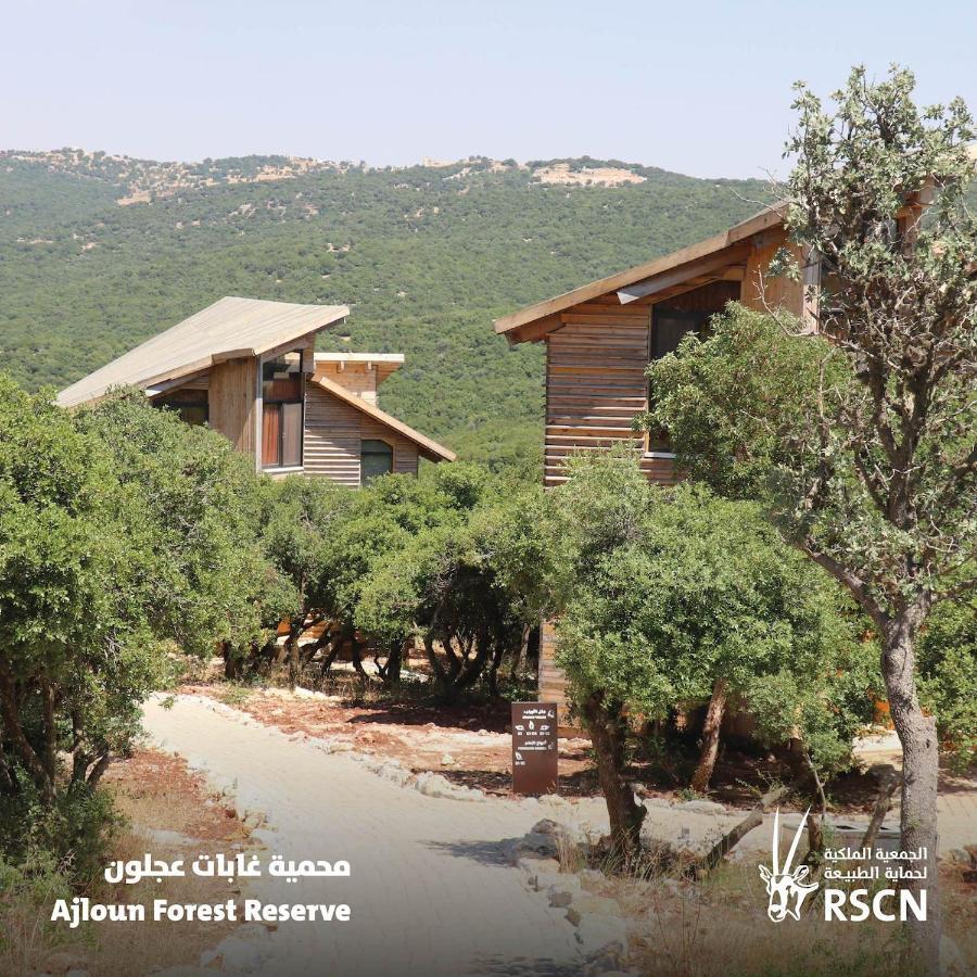 Ajloun Forest Reserve Jarash Extérieur photo