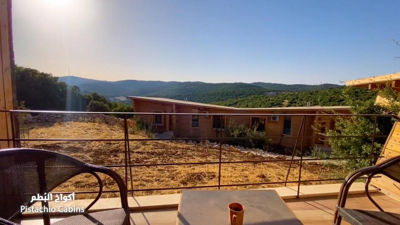 Ajloun Forest Reserve Jarash Extérieur photo