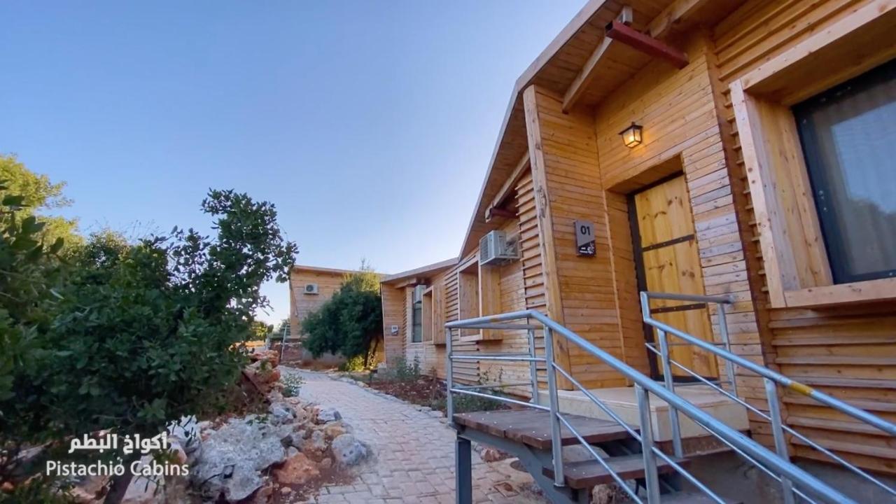 Ajloun Forest Reserve Jarash Extérieur photo
