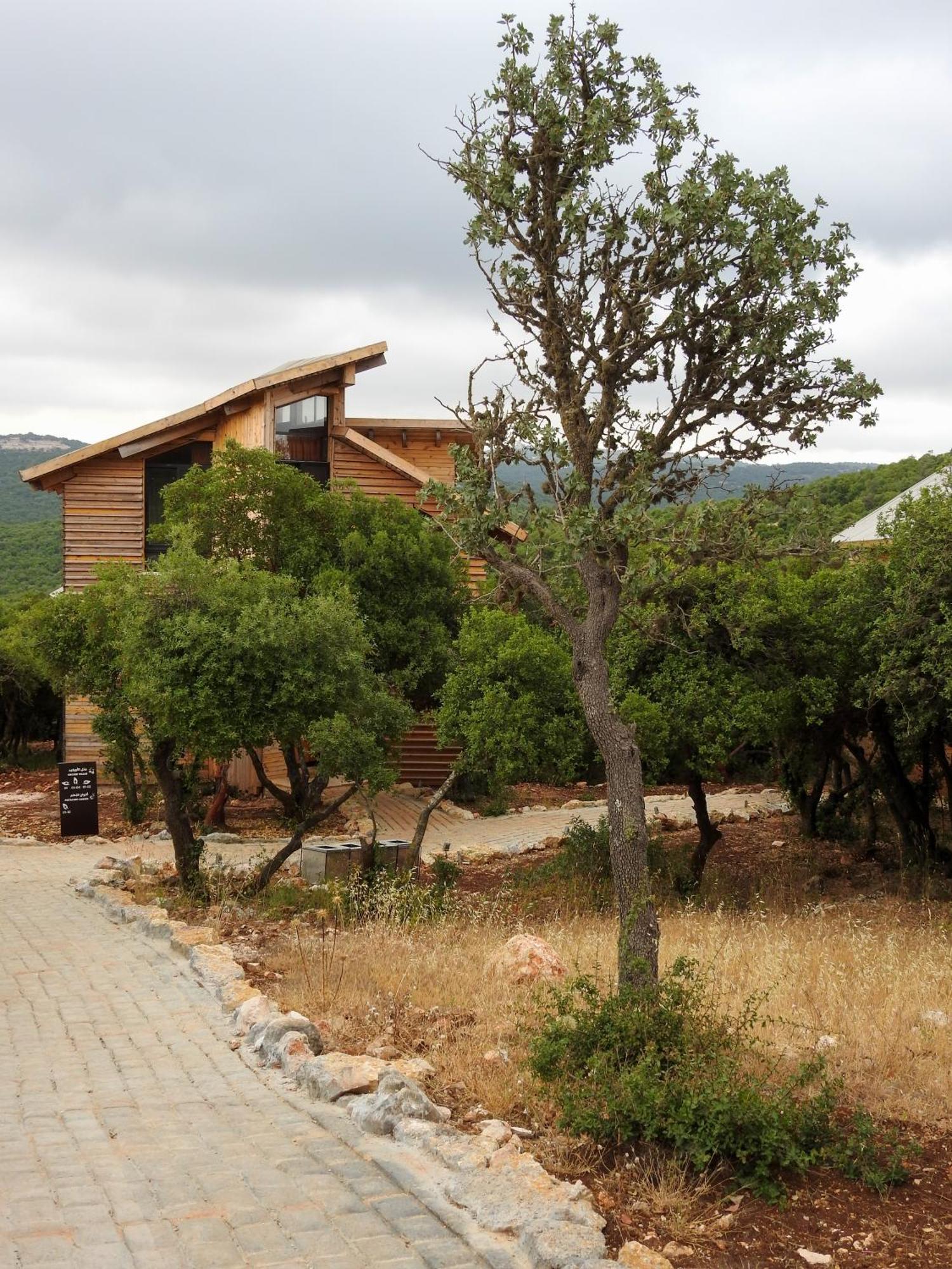 Ajloun Forest Reserve Jarash Extérieur photo