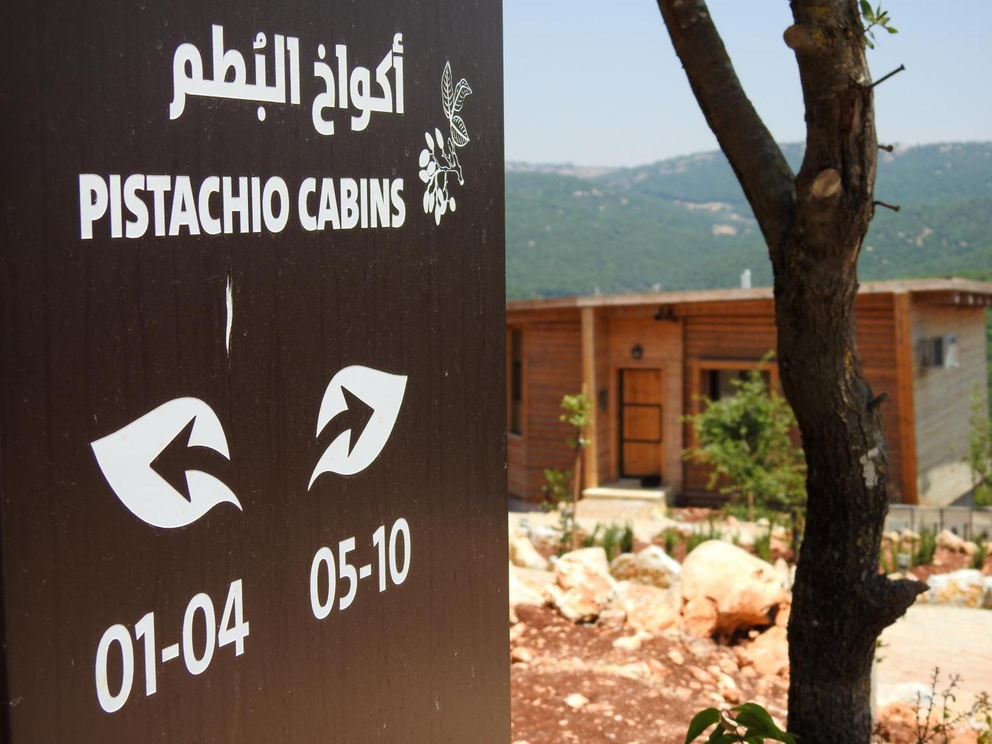 Ajloun Forest Reserve Jarash Extérieur photo