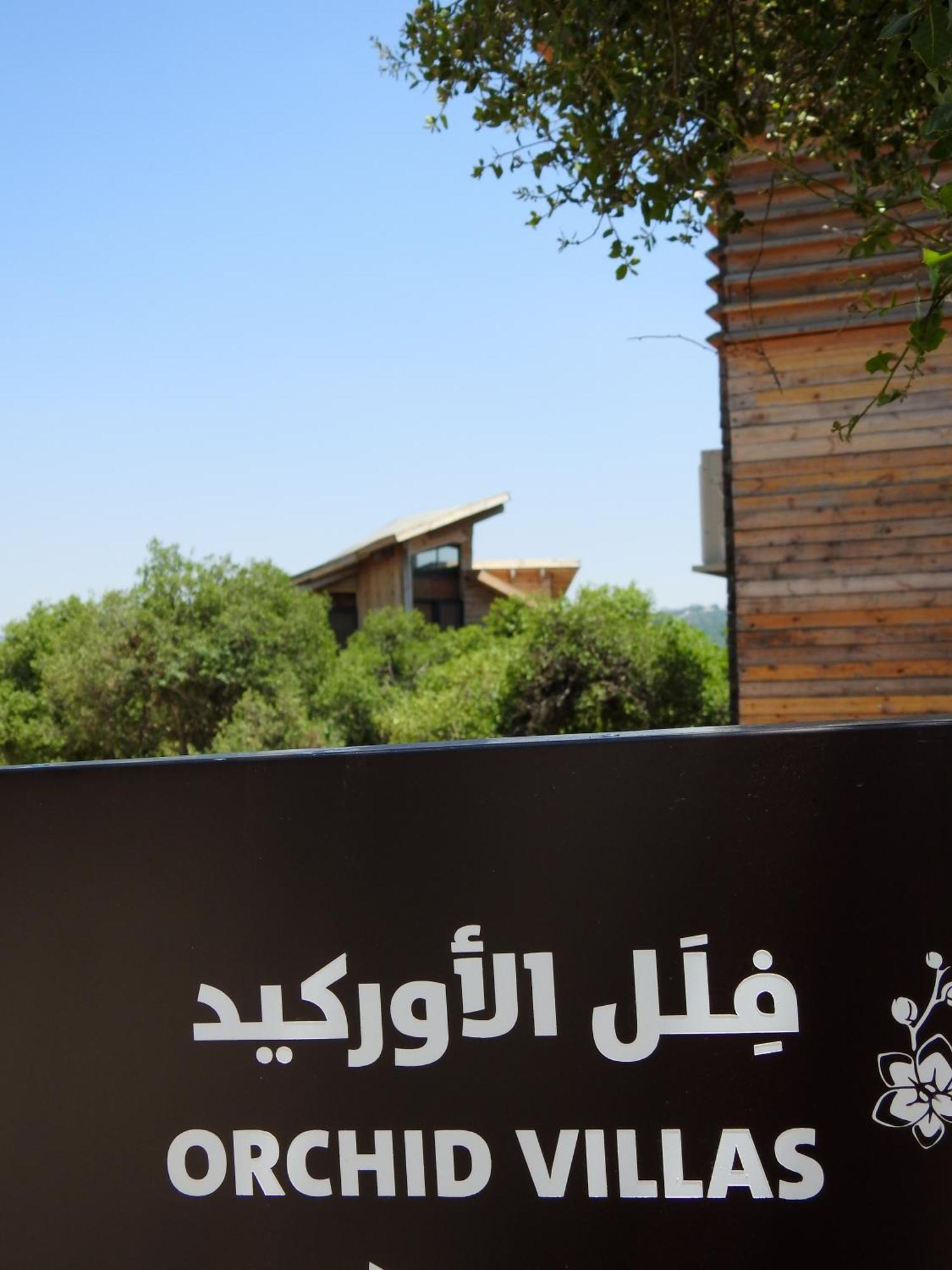 Ajloun Forest Reserve Jarash Extérieur photo