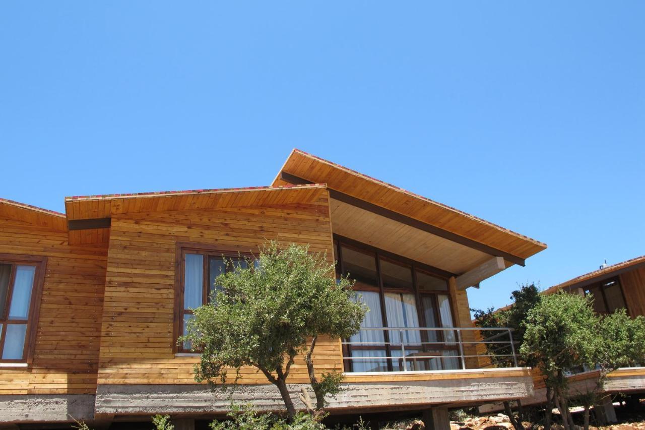 Ajloun Forest Reserve Jarash Extérieur photo