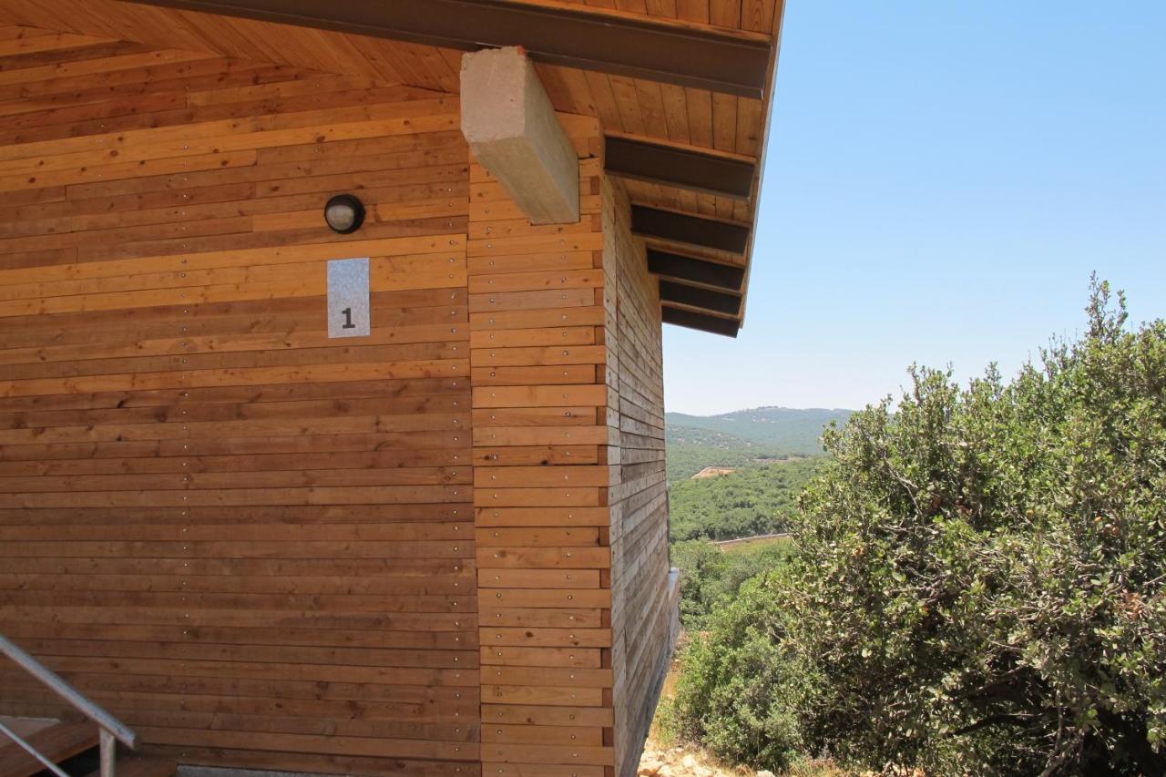 Ajloun Forest Reserve Jarash Extérieur photo