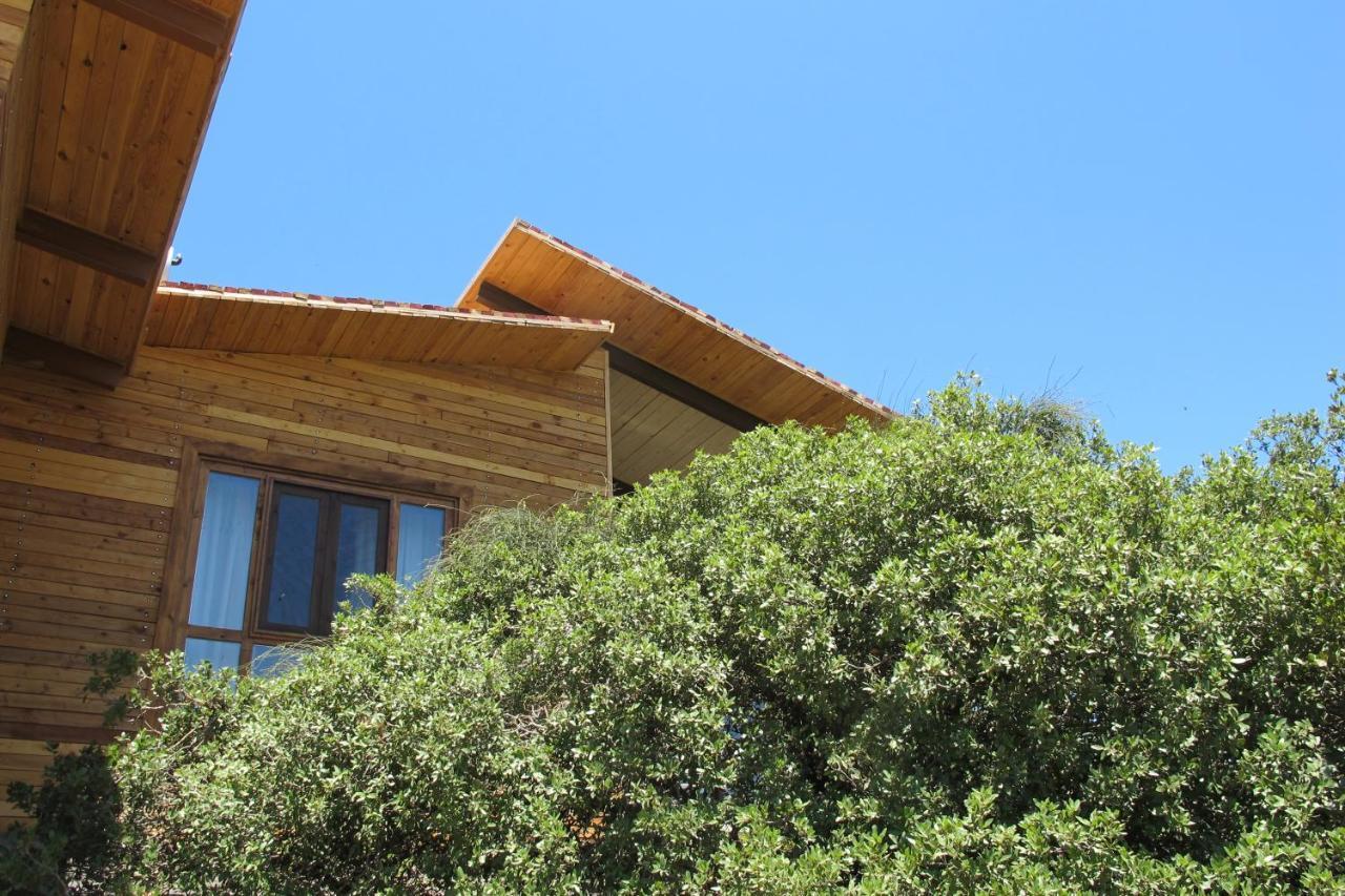 Ajloun Forest Reserve Jarash Extérieur photo