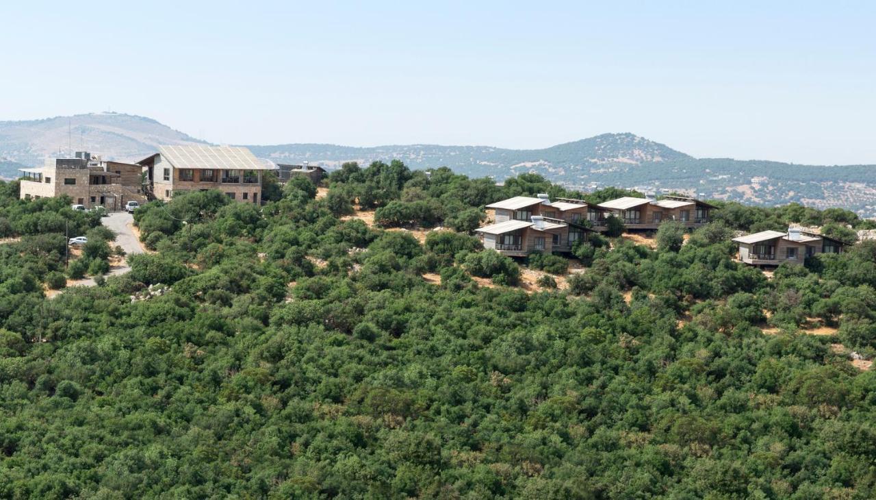 Ajloun Forest Reserve Jarash Extérieur photo